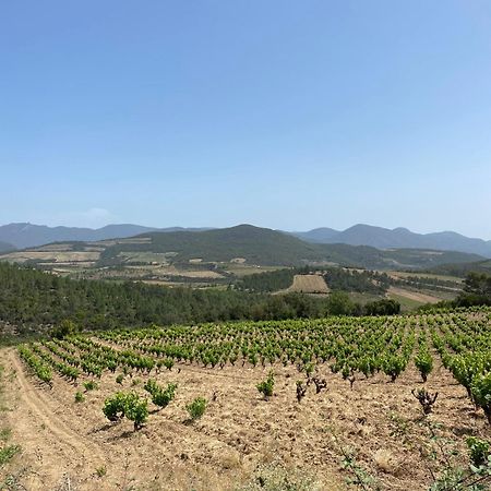 Le Moulin 2 - Appartement Arenes Romaines- Beziers Gare - Wifi- Tv Connecte 外观 照片
